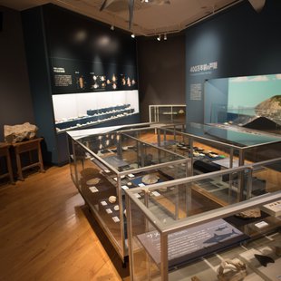 戸隠地質化石博物館4