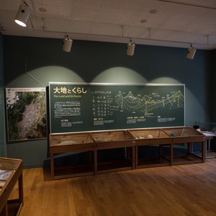 戸隠地質化石博物館5