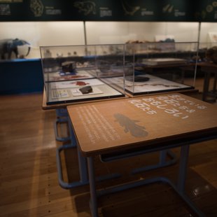 戸隠地質化石博物館7