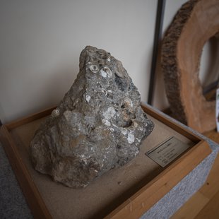 戸隠地質化石博物館8