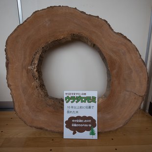 戸隠地質化石博物館9