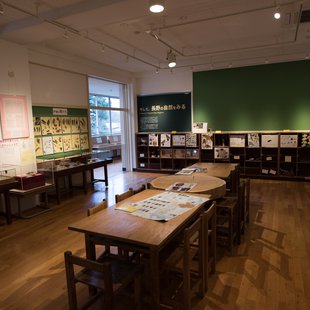 戸隠地質化石博物館10