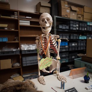 戸隠地質化石博物館16