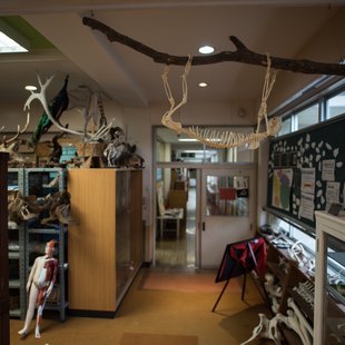 戸隠地質化石博物館19