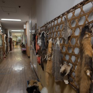 戸隠地質化石博物館21