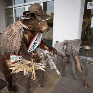 戸隠地質化石博物館24