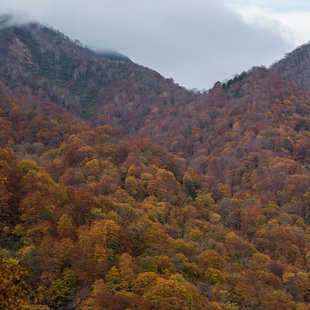 奥裾花自然園15