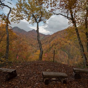 奥裾花自然園16