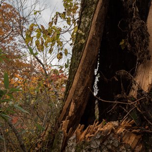 奥裾花自然園17