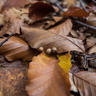 奥裾花自然園19