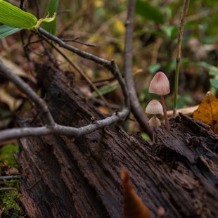 奥裾花自然園22