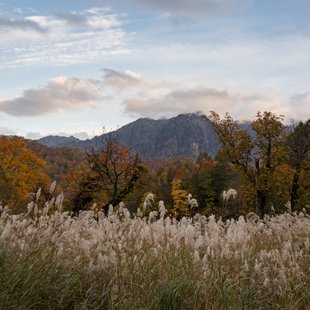 奥裾花自然園24