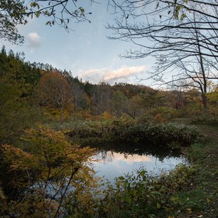 奥裾花自然園25