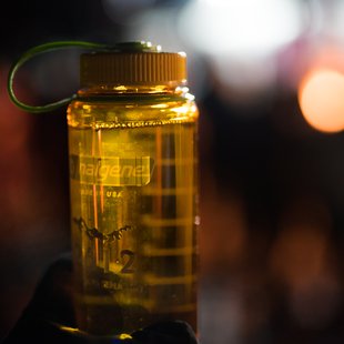 戸隠どんど焼き祭り10