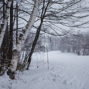 飯綱高原スキー場9