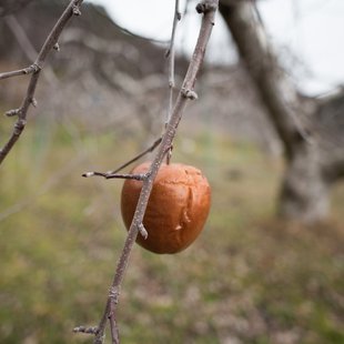 旭山とその周辺1