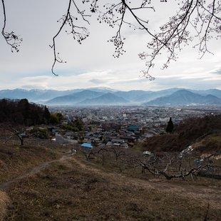 旭山とその周辺2