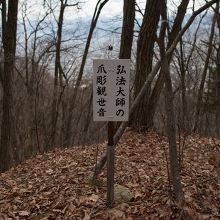 旭山とその周辺4