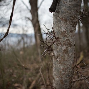 旭山とその周辺5