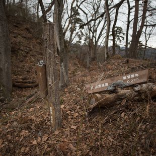 旭山とその周辺6