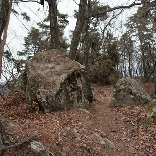旭山とその周辺7