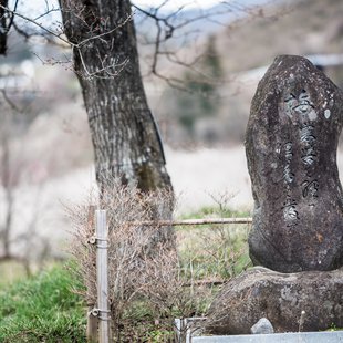 ろうかく梅園11