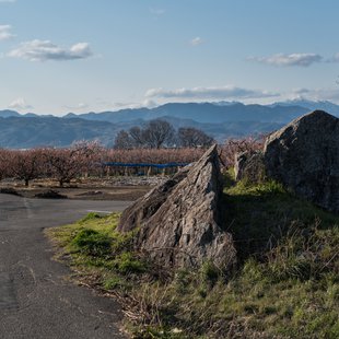 千曲市あんずの里14