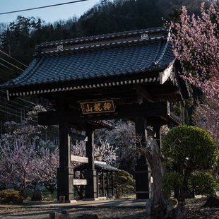 千曲市あんずの里16