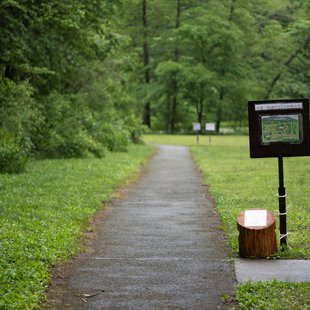 戸隠森林植物園17