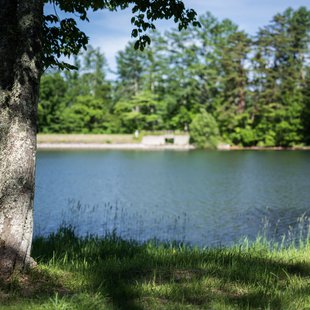 飯綱高原キャンプ場3