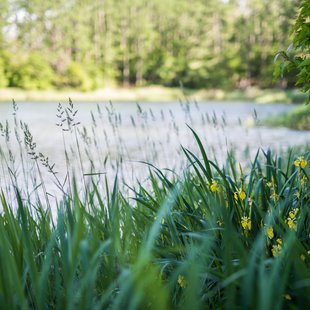 飯綱高原キャンプ場5