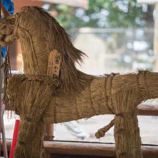 茶臼山動物園20