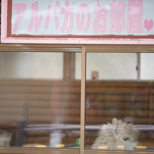 茶臼山動物園24