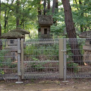 茶臼山動物園34