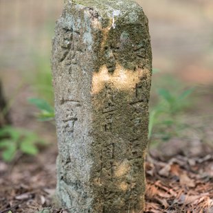 茶臼山動物園35