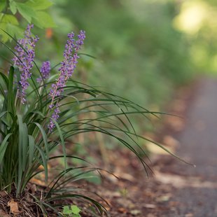 茶臼山動物園41