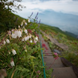 白馬八方尾根11