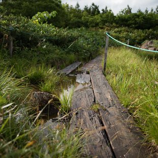 白馬八方尾根18