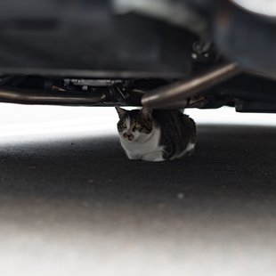 飯綱高原キャンプ場