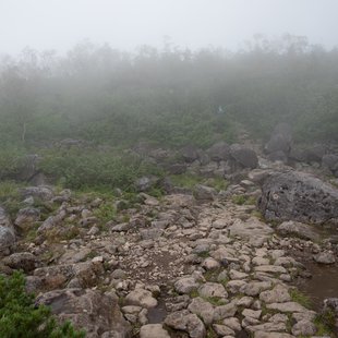 栂池高原、白馬乗鞍岳、白馬大池3