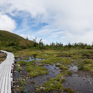 栂池高原、白馬乗鞍岳、白馬大池5