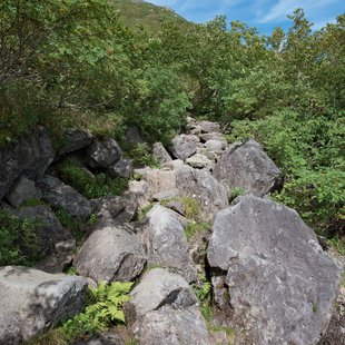 栂池高原、白馬乗鞍岳、白馬大池6