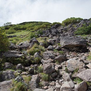 栂池高原、白馬乗鞍岳、白馬大池8
