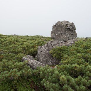 栂池高原、白馬乗鞍岳、白馬大池11