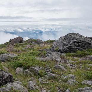 栂池高原、白馬乗鞍岳、白馬大池13