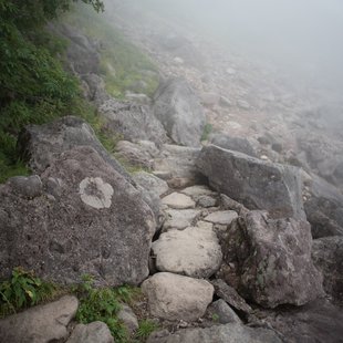栂池高原、白馬乗鞍岳、白馬大池20