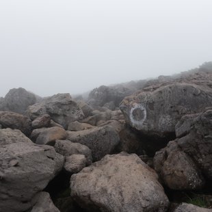栂池高原、白馬乗鞍岳、白馬大池22