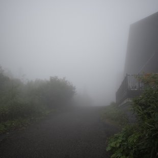 栂池高原、白馬乗鞍岳、白馬大池24
